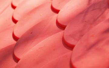 Tandragee plastic roof costs